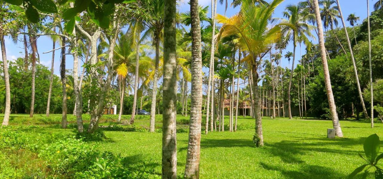 Siri Wedamadura Villa Велигама Номер фото